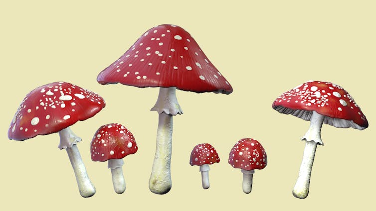 MUSHROOMS